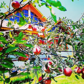 Mountain Nest 4BR Private Villa